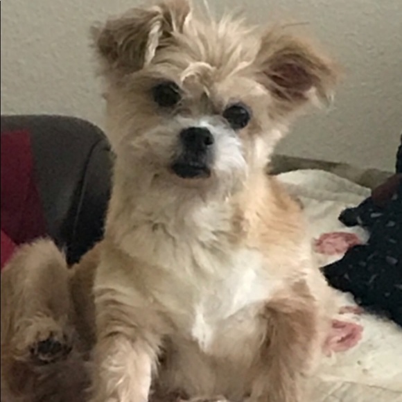 Meet your Posher, Gina - Picture 1 of 1